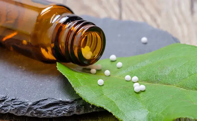 homeopathie chat 074419 650 400