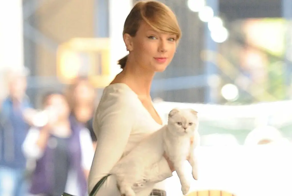 1700641710 taylor swift cat names 042af8f902bd4ebdb3a58bb96eec835d