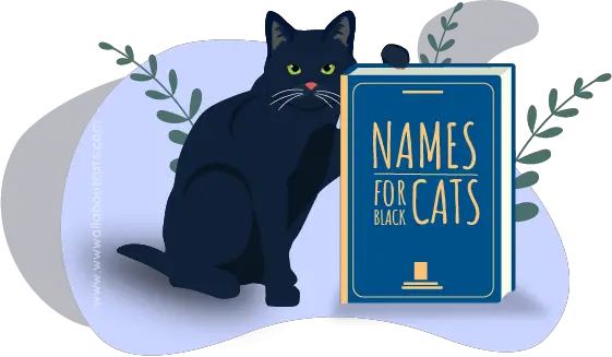 Mustade kasside nimed