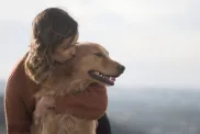 Suurt koeratõugu kuldset retriiverit, keda kaaslane kallistab ja millel on hägune siluett.