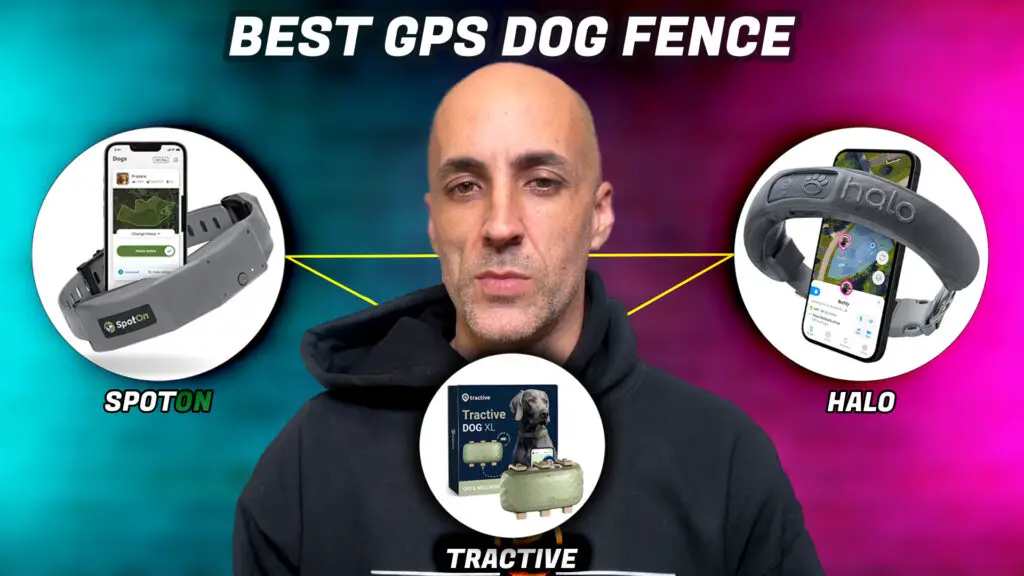 Best GPS DOG Fence