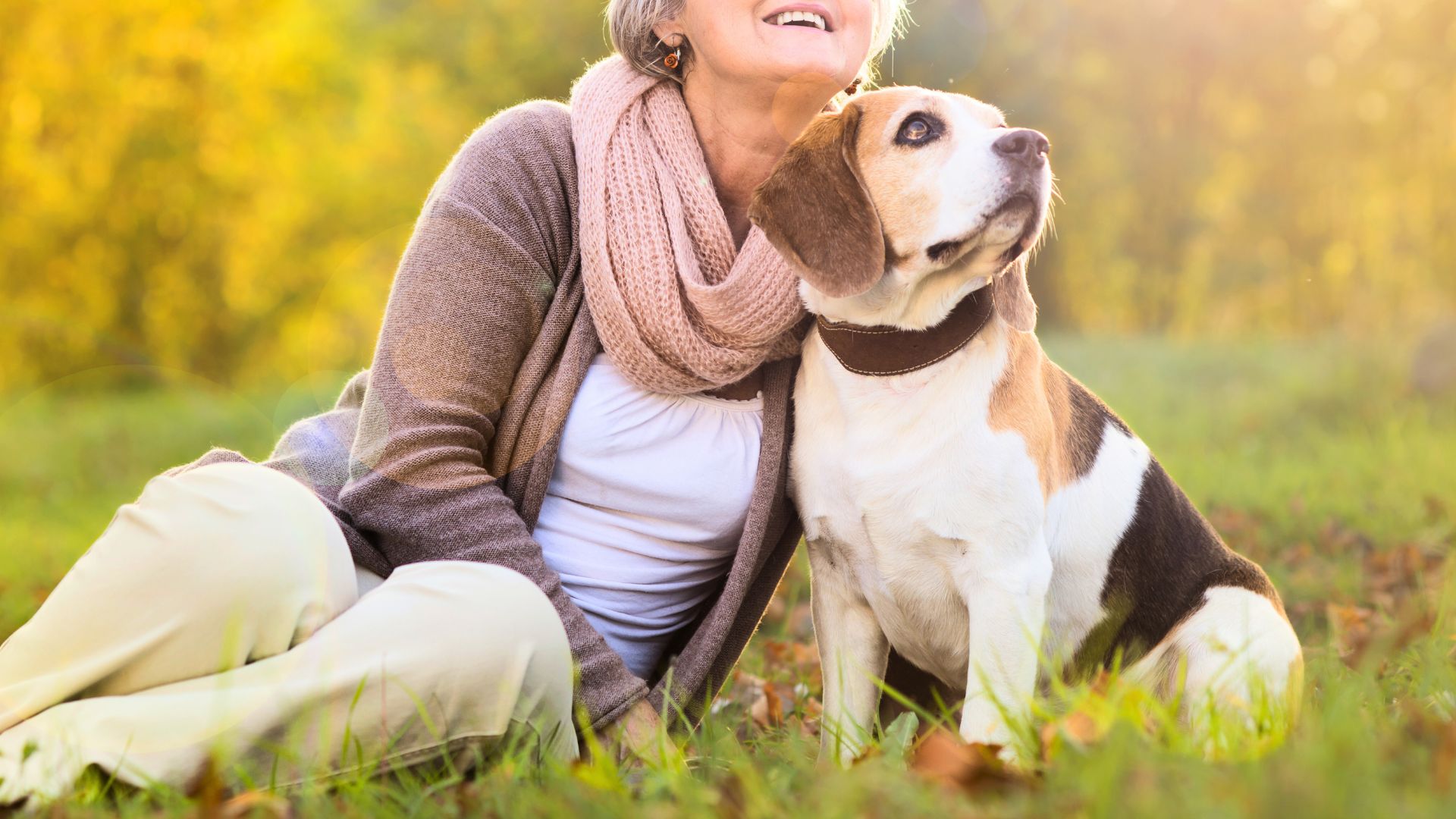 Best Guard Dogs for Older Women