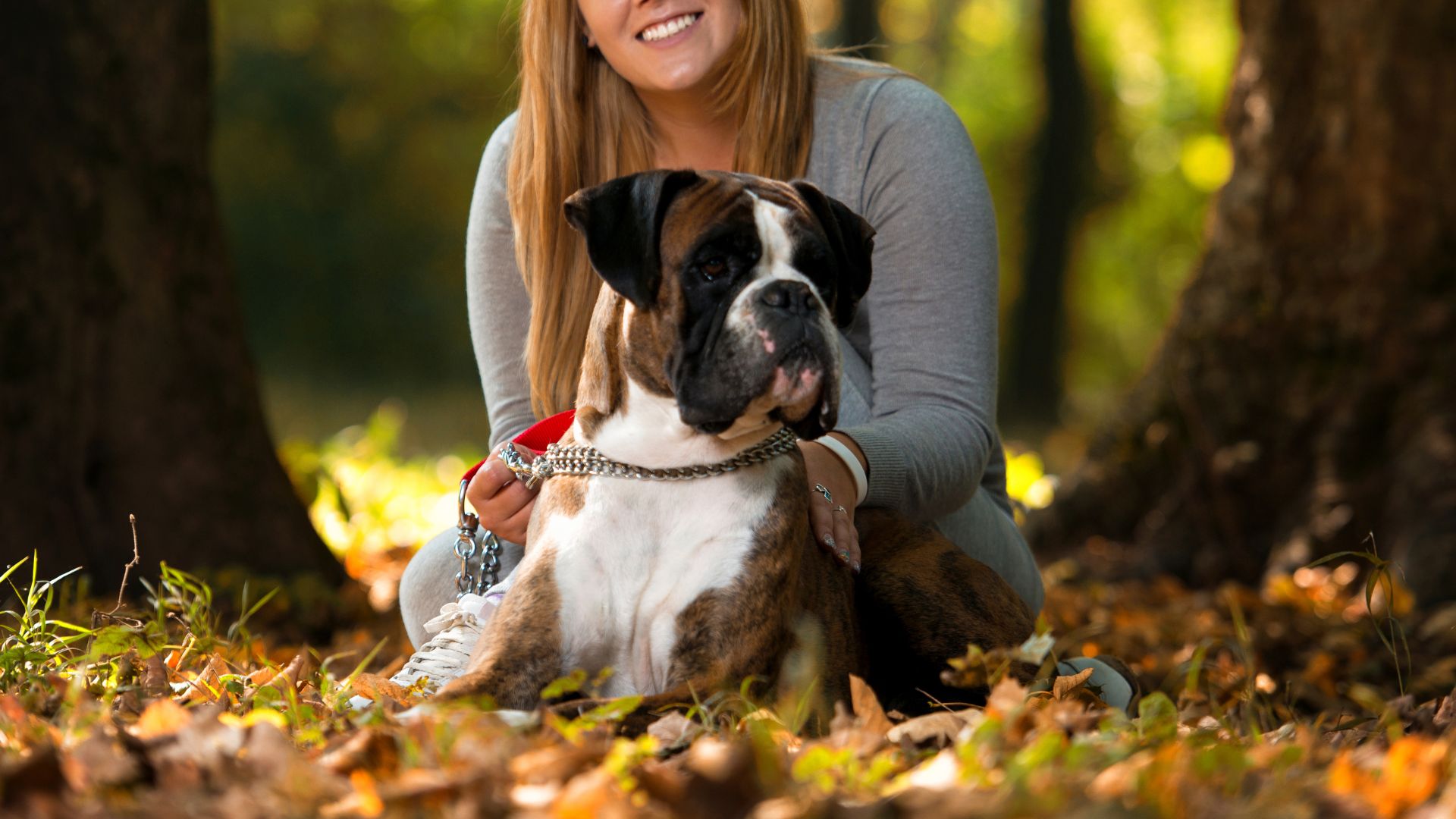 Guard Dogs for Women Living in the United States