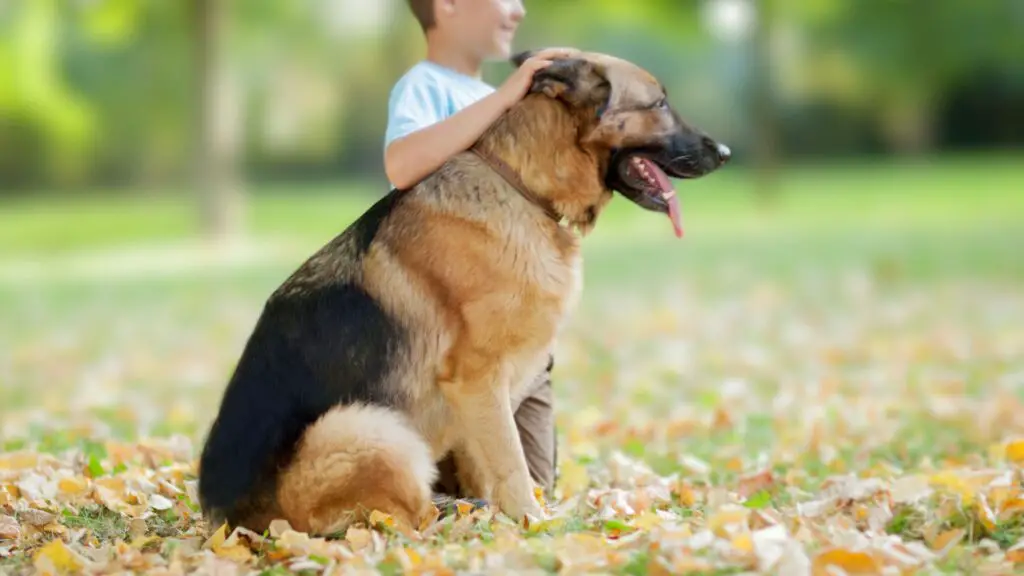 Guard Dogs that Love Children