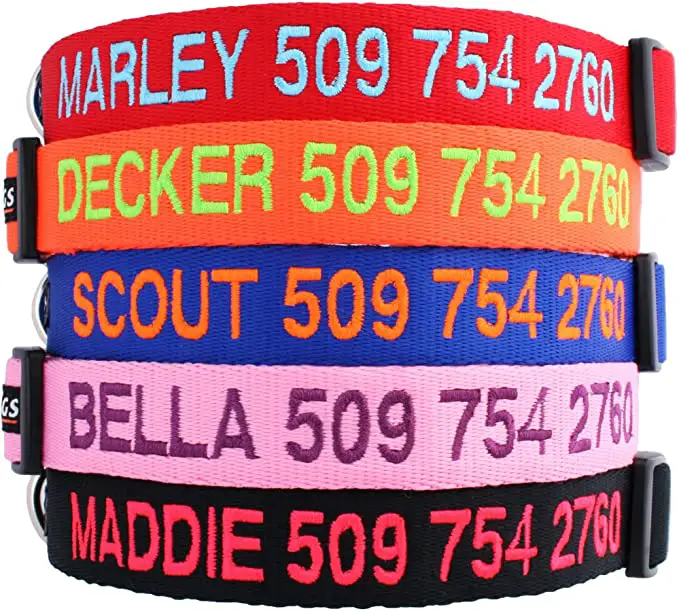 1732661721 829 GoTags Personalized Dog Collar
