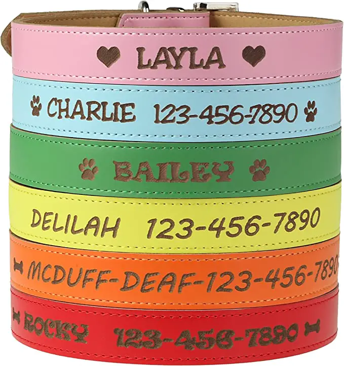 1732720520 441 Custom Catch Personalized Dog Collar review 1