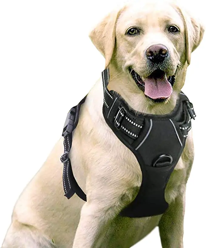 1732735221 946 Rabbitgoo No Pull Dog Harness