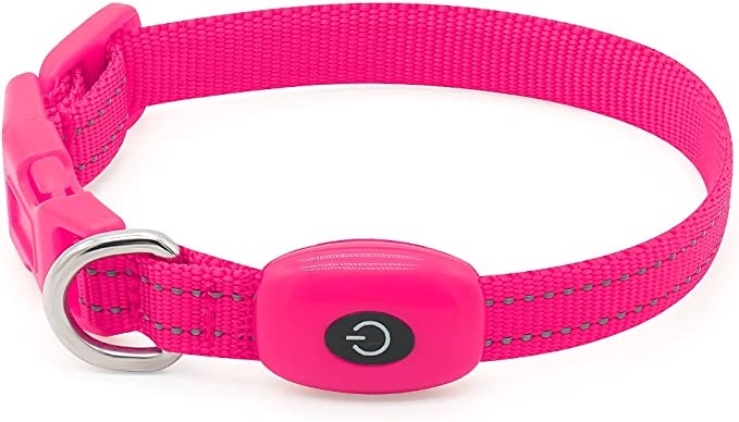 Domi Puppy LED Dog Collars