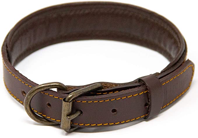 Logical Leather Padded Dog Collar review 2