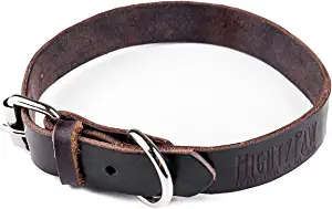 Mighty Paw Leather Dog Collar review.webp