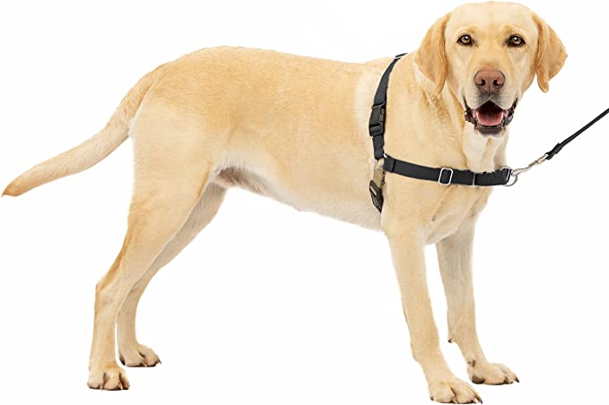 PetSafe Easy Walk Harness 1