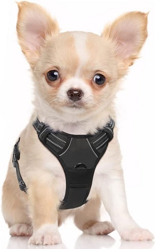 Rabbitgoo Dog Harness review