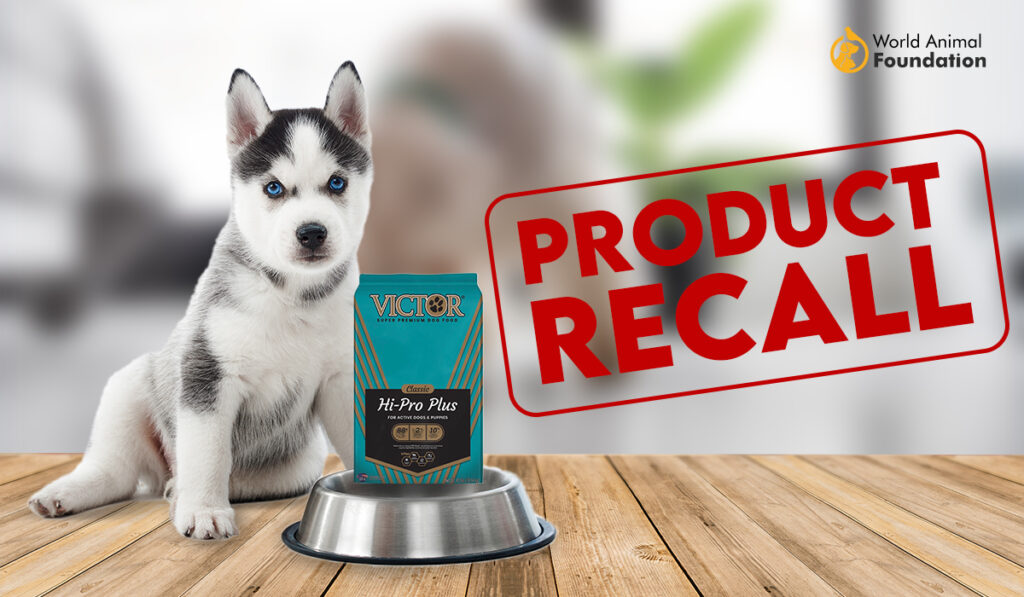 Victor Dog Food 1