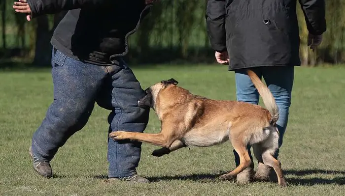 see võib olla vastutustundlik rünne
