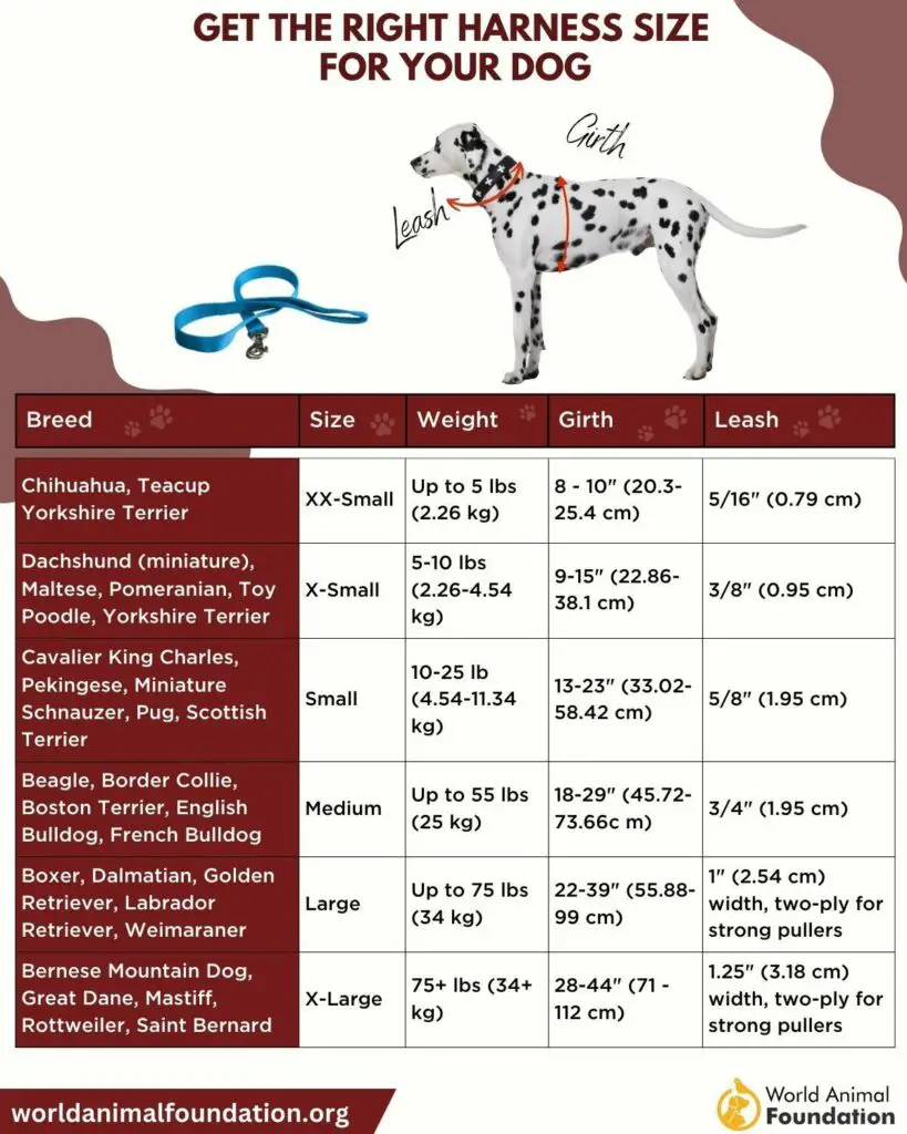 dog harness size chart 1