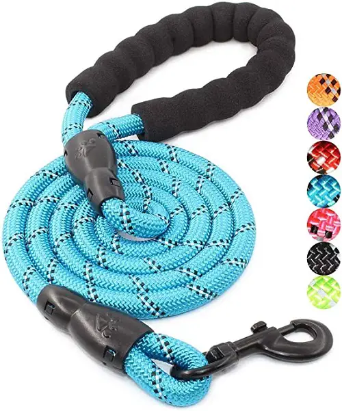 1733269817 657 BAAPET Strong Dog Leash REVIEW