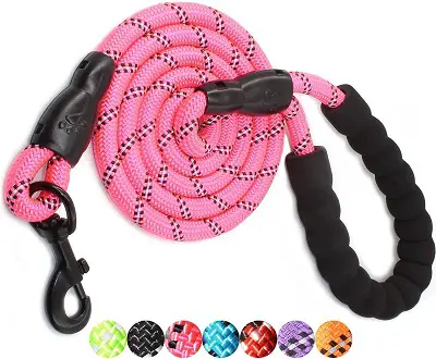 BAAPET Dog Leash REVIEW