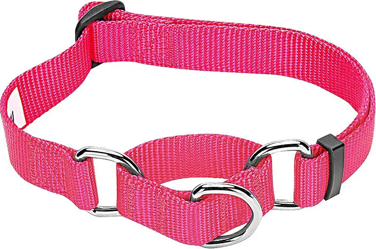 Blueberry Martingale Collar review