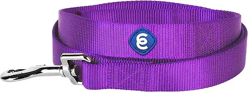 Blueberry Pet Classic Solid Nylon Dog Leash review