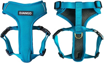 DJANGO Adventure Dog Harness REVIEW 1