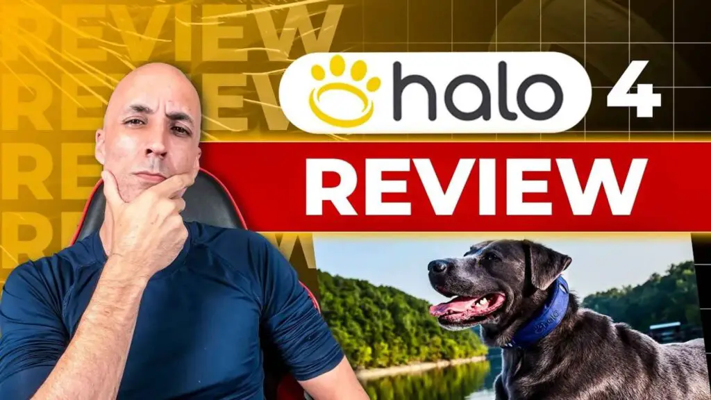 Halo Collar 4 Review 3