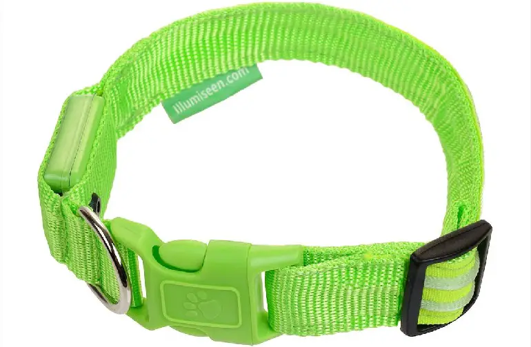 Illumiseen LED Reflective Dog Collar review