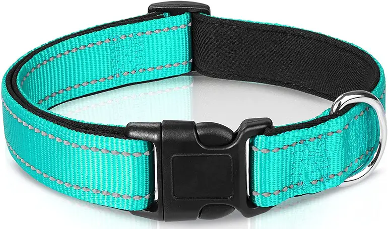 Joytale Reflective Dog Collar review