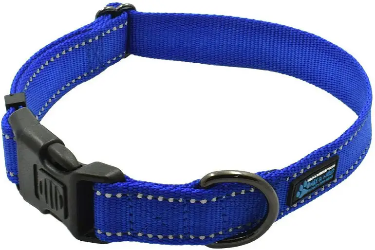 Max and Neo NEO Nylon Buckle Reflective Dog Collar review