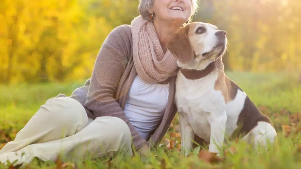 Most Intelligent Dogs for Seniors