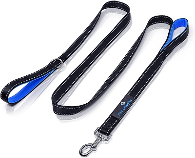 Paw Lifestyles Heavy Duty Dog Leash REVIEW