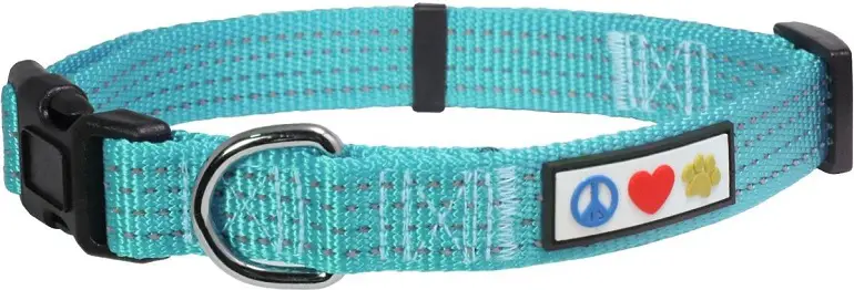 Pawtitas Nylon Reflective Dog Collar review