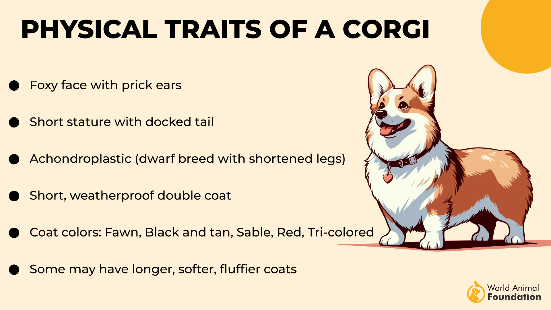 Corgi-01 füüsilised omadused