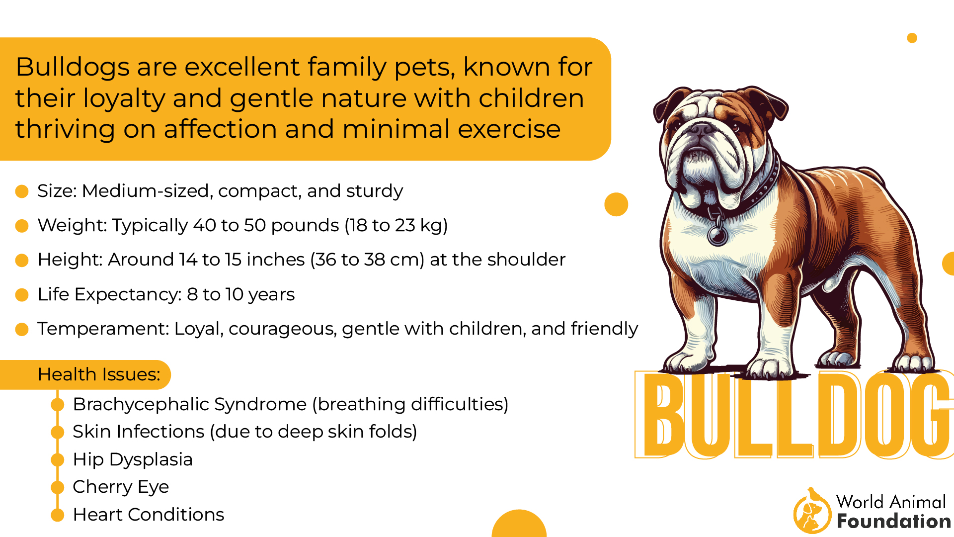 Bulldogi diagramm-01